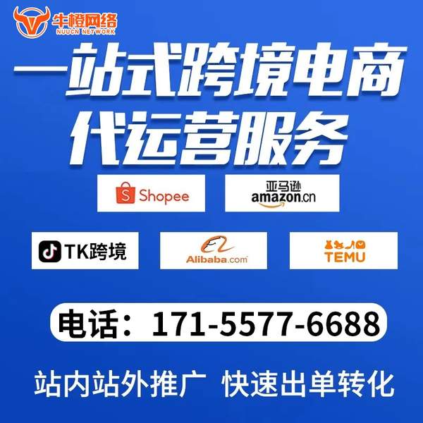蓬莱电商代运营